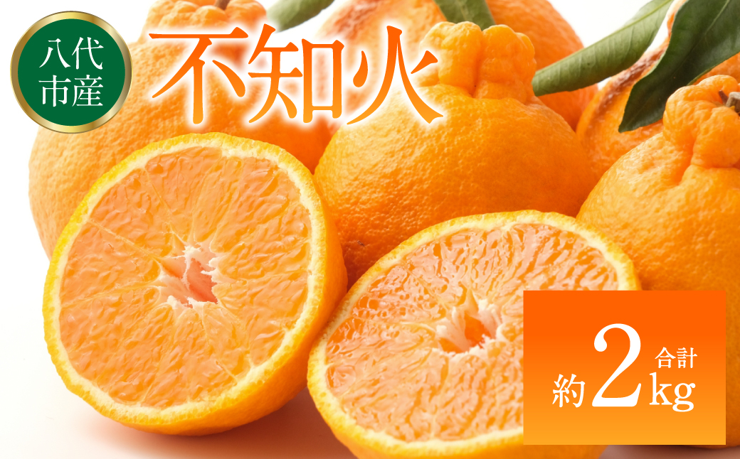 【先行予約】 不知火（デコポンと同品種） 約2kg しらぬい でこみかん 柑橘 ミカン ポンカン くだもの 果物 フルーツ 【2026年1月下旬より順次発送】