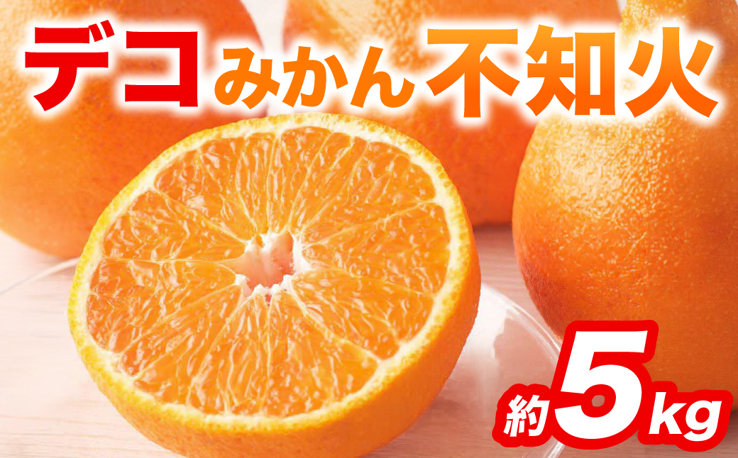 【先行予約】 不知火 デコみかん (デコポン同品種) 約5kg (12～24玉) フルーツ くだもの 果物 みかん 蜜柑 ミカン 柑橘 おやつ デザート 旬 熊本県 八代市 【2027年2月上旬より順次発送】