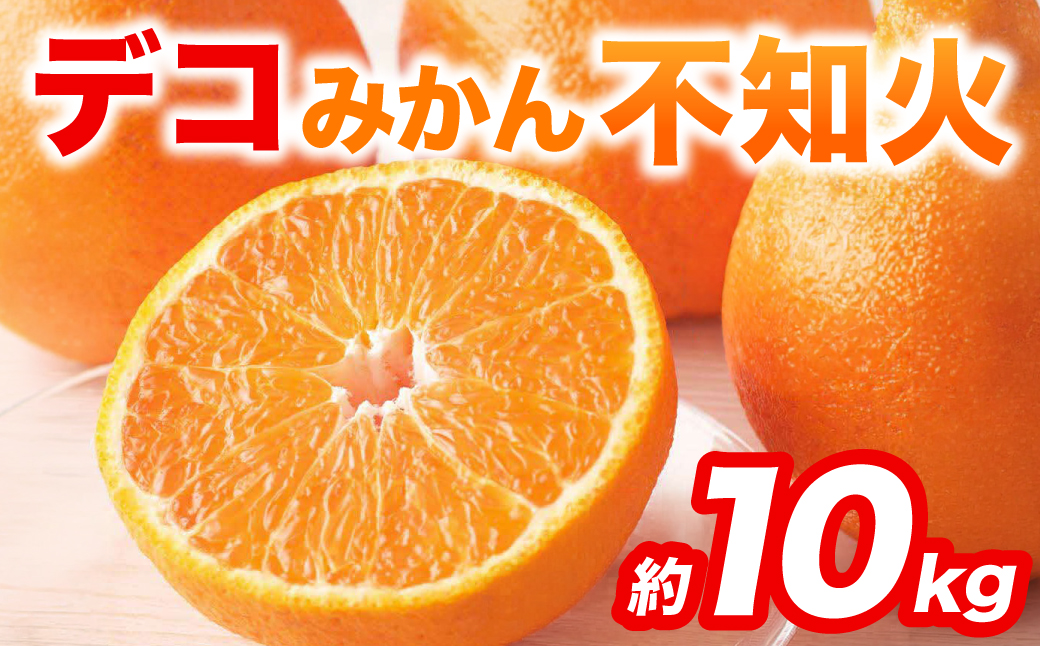 【先行予約】 不知火 デコみかん (デコポン同品種) 約10kg (24～48玉) フルーツ くだもの 果物 みかん 蜜柑 ミカン 柑橘 おやつ デザート 旬 熊本県 八代市  【2027年2月上旬より順次発送】