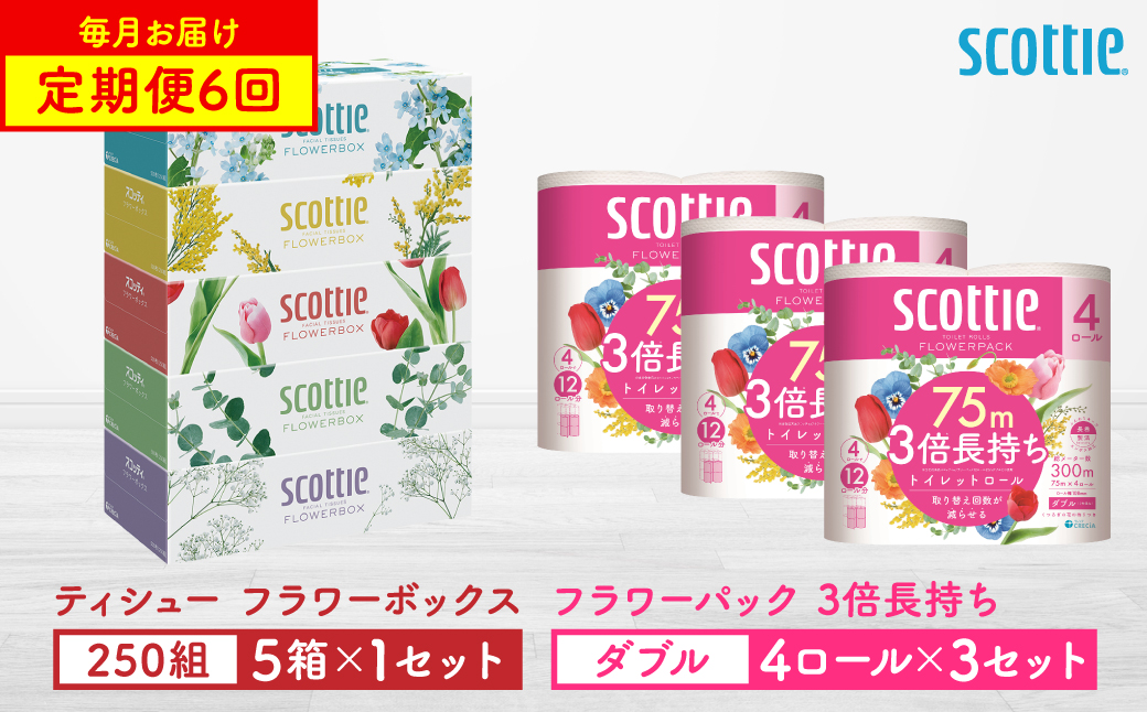 【定期便6回】【毎月お届け】【スコッティ】 組み合わせ ティシュー フラワーボックス 250組 5箱 計30箱 トイレットロール ダブル フラワーパック 3倍長持ち 12ロール 計72ロール ティッシュ トイレットペーパー 日用品 ストック 防災備蓄 ストック 備蓄 新生活 防災 消耗品 生活用品 日用消耗品 箱ティッシュ