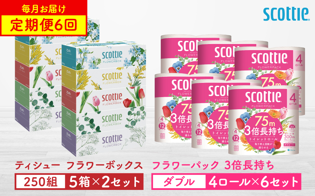 【定期便6回】【毎月お届け】【スコッティ】 組み合わせ ティシュー フラワーボックス 250組 10箱 計60箱 トイレットロール ダブル フラワーパック 3倍長持ち 24ロール 計144ロール ティッシュ トイレットペーパー 日用品 ストック 防災備蓄 ストック 備蓄 新生活 防災 消耗品 生活用品 日用消耗品 箱ティッシュ