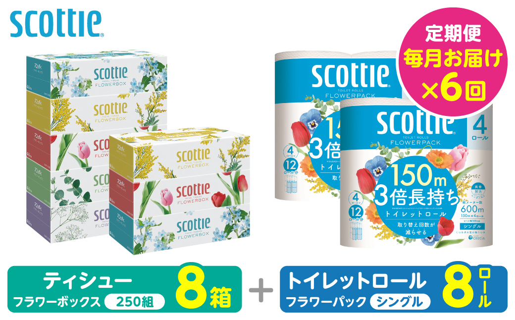 【定期便6回】【毎月お届け】【スコッティ】 組み合わせ ティシュー フラワーボックス 250組 8箱 計48箱 トイレットロール シングル フラワーパック 3倍長持ち 8ロール 計48ロール ティッシュ トイレットペーパー 日用品 ストック 防災備蓄 ストック 備蓄 新生活 防災 消耗品 生活用品 日用消耗品 箱ティッシュ