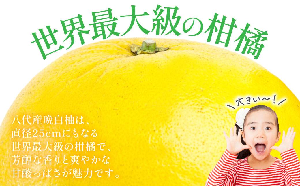 ãå
è¡äºçŽã æ©çœæ ïŒç§2LÃ2çïŒ çŽ4kg ã°ããºãã æç© æå® ãã ãã® ãã«ãŒã ææ© ææ©é¡ çæ¬ç å
«ä»£åž ã2026幎12æäžæ¬ããé æ¬¡çºéã