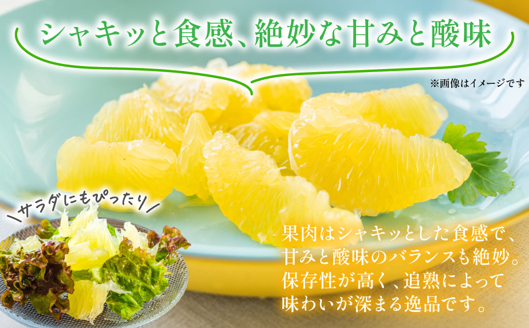 ãå
è¡äºçŽã æ©çœæ ïŒç§2LÃ2çïŒ çŽ4kg ã°ããºãã æç© æå® ãã ãã® ãã«ãŒã ææ© ææ©é¡ çæ¬ç å
«ä»£åž ã2026幎12æäžæ¬ããé æ¬¡çºéã