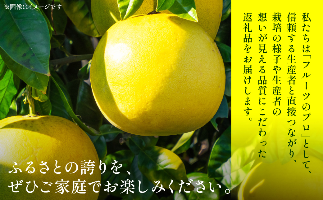 ãå
è¡äºçŽã æ©çœæ ïŒç§2LÃ2çïŒ çŽ4kg ã°ããºãã æç© æå® ãã ãã® ãã«ãŒã ææ© ææ©é¡ çæ¬ç å
«ä»£åž ã2026幎12æäžæ¬ããé æ¬¡çºéã