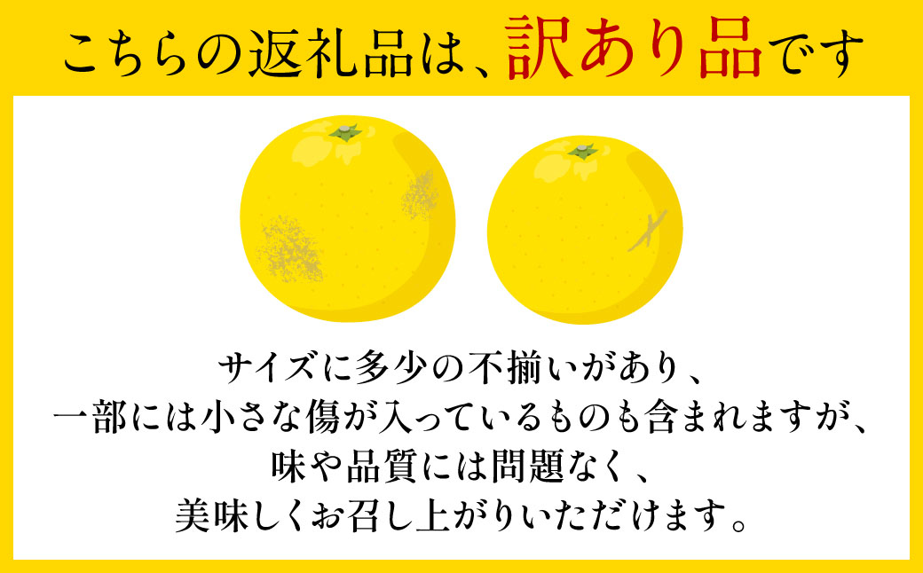 【先行予約】 【訳あり】 晩白柚 5～7玉 約8kg ばんぺいゆ 果物 果実 くだもの フルーツ 柑橘 柑橘類 熊本県 八代市 【2027年1月上旬より順次発送】