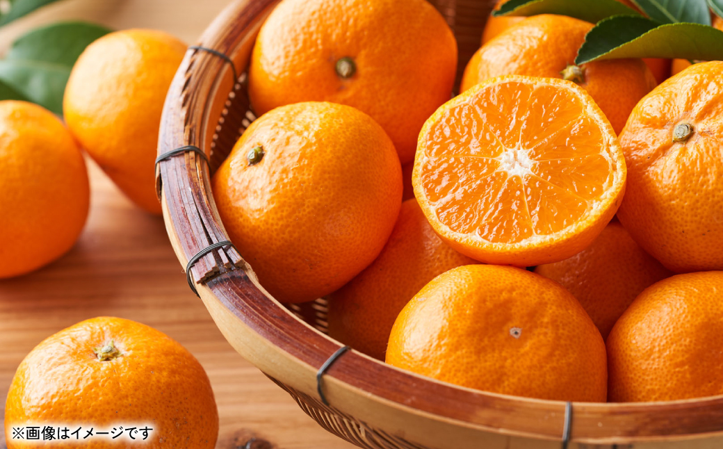 æ¬ã®ã¿ãã 2Sïœ2Lãµã€ãº çŽ5kg ãã«ã³ ææ© æç© ãã«ãŒã æ¬ ãã¶ãŒã