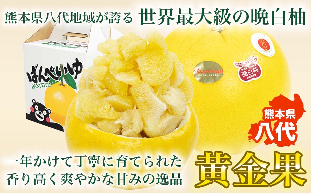 çæ¬çå
«ä»£åžç£ æ©çœæ Lãµã€ãº 2çå
¥ã çŽ3kg æç© ãã ãã® ãã«ãŒã ææ©é¡ éæç© ç¹ç£å ãåãå¯ã