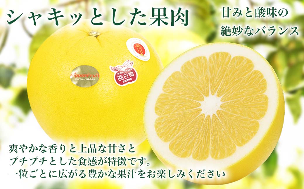 çæ¬çå
«ä»£åžç£ æ©çœæ Lãµã€ãº 2çå
¥ã çŽ3kg æç© ãã ãã® ãã«ãŒã ææ©é¡ éæç© ç¹ç£å ãåãå¯ã