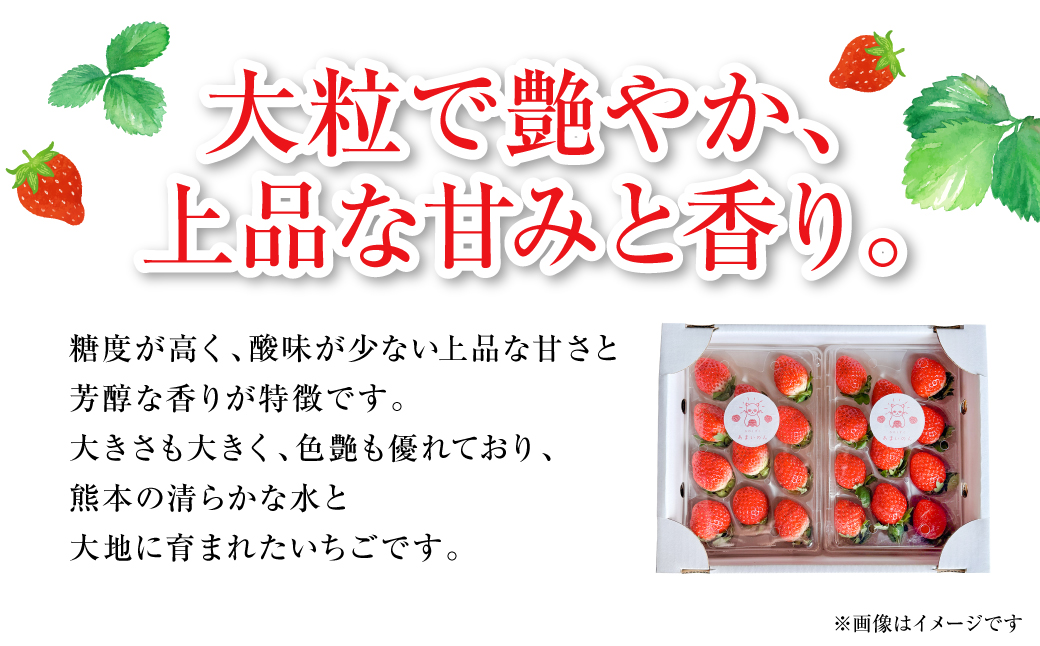 縲仙郁。御コ育エ縲代イ縺ョ縺励★縺 -縺ゅ∪縺縺ョ繧 譁ー魄ョ 繝輔Ν繝シ繝 譫懃黄 縺上□繧ゅョ 闍コ 縺縺。縺 繧、繝√ざ 繧ケ繝医Ο繝吶Μ繝シ 譌ャ 辭頑悽 蜈ォ莉」 蝗ス逕」 縲2026蟷エ1譛井ク区流繧医j鬆谺。逋コ騾√