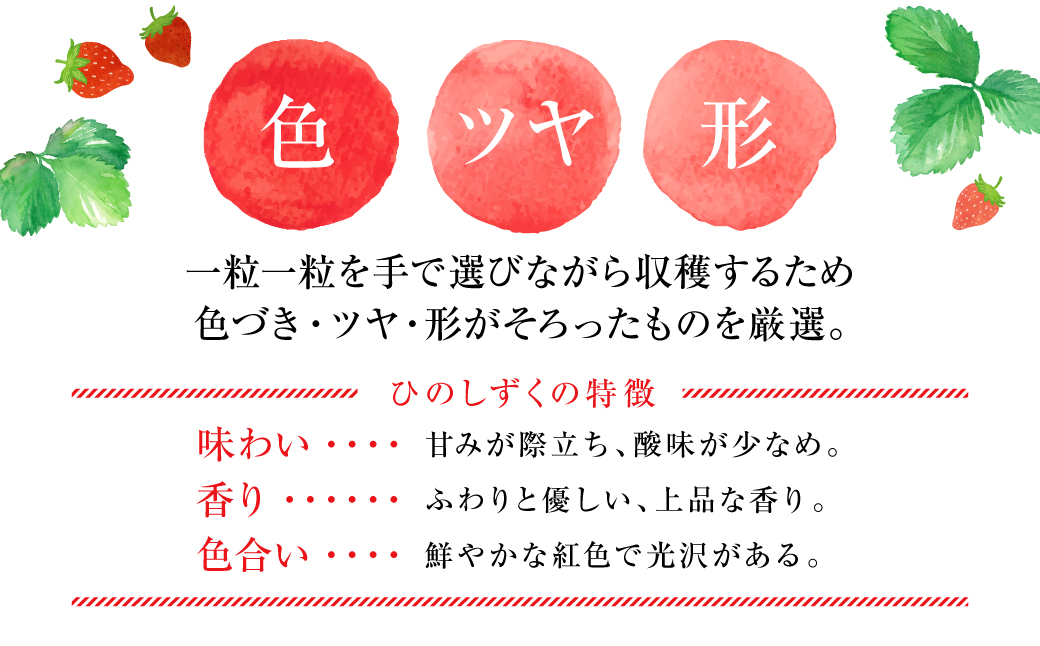 縲仙郁。御コ育エ縲代イ縺ョ縺励★縺 -縺ゅ∪縺縺ョ繧 譁ー魄ョ 繝輔Ν繝シ繝 譫懃黄 縺上□繧ゅョ 闍コ 縺縺。縺 繧、繝√ざ 繧ケ繝医Ο繝吶Μ繝シ 譌ャ 辭頑悽 蜈ォ莉」 蝗ス逕」 縲2026蟷エ1譛井ク区流繧医j鬆谺。逋コ騾√