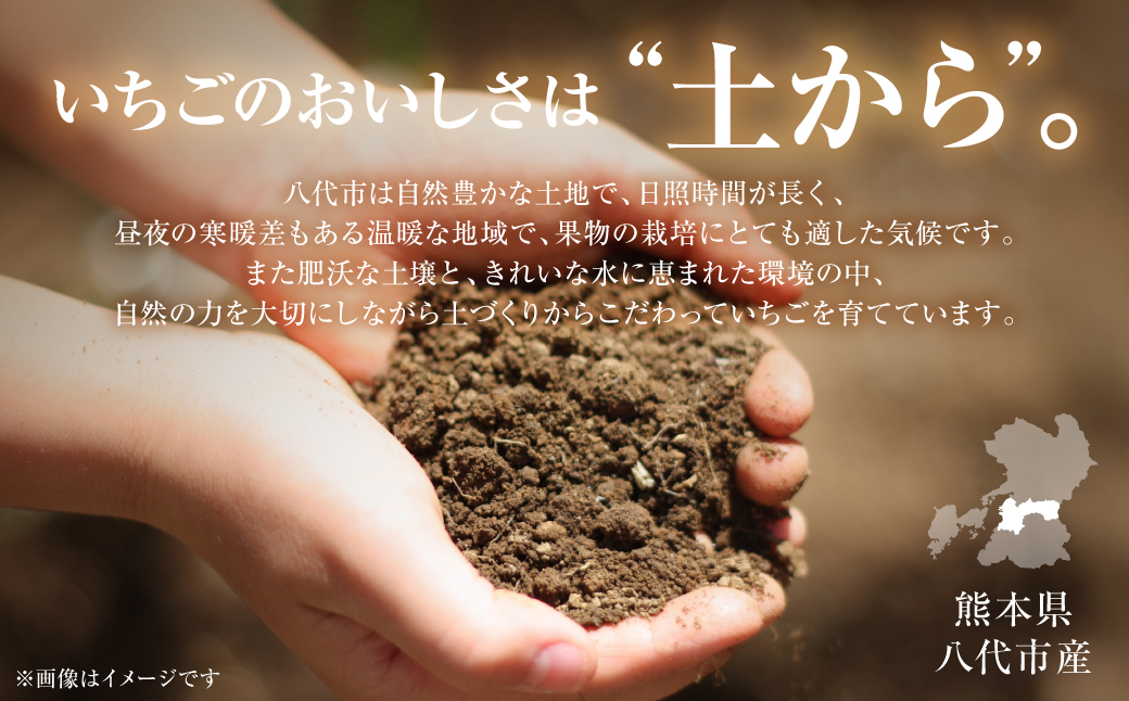 縲仙郁。御コ育エ縲代イ縺ョ縺励★縺 -縺ゅ∪縺縺ョ繧 譁ー魄ョ 繝輔Ν繝シ繝 譫懃黄 縺上□繧ゅョ 闍コ 縺縺。縺 繧、繝√ざ 繧ケ繝医Ο繝吶Μ繝シ 譌ャ 辭頑悽 蜈ォ莉」 蝗ス逕」 縲2026蟷エ1譛井ク区流繧医j鬆谺。逋コ騾√