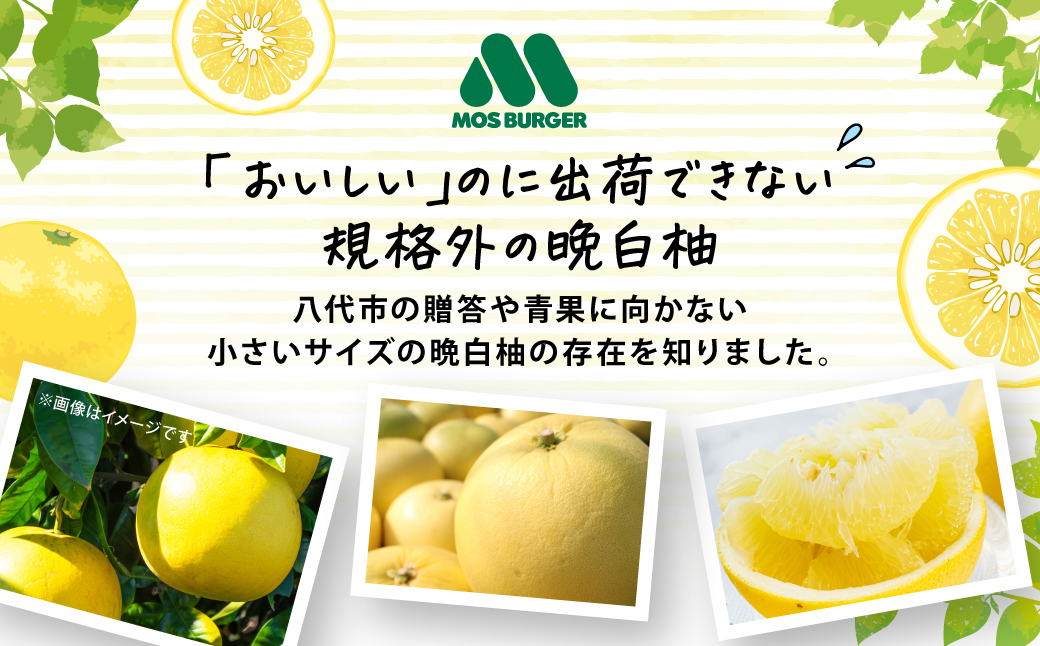 ããŸã¢ã³ã®ã·ã£ãŒããã äžçäžå€§ããªææ©(ã¶ãã³é¡) çæ¬çç£ æ©çœæ äœ¿çš ã¢ã¹ ã¢ã¹ããŒã¬ãŒ ã¢ã€ã¹ æ°·èå ææ± æç© çæ¬ å
«ä»£ åœç£ ã¹ã€ãŒã ããŸã¢ã³