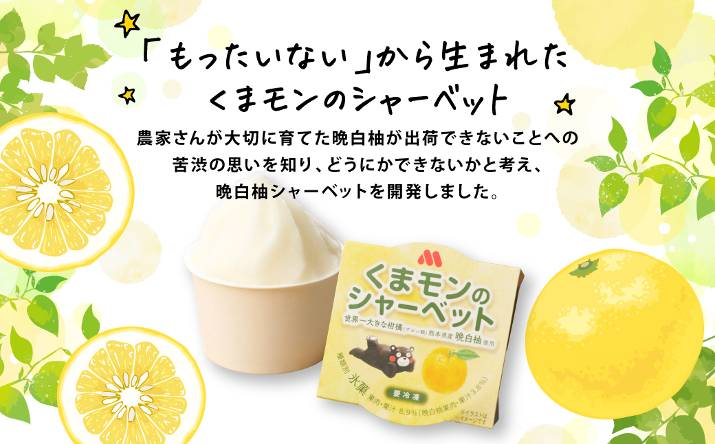 【先行予約】 くまモンのシャーベット 世界一大きな柑橘(ザボン類) 熊本県産 晩白柚 使用 アイス 氷菓子 果汁 果物 熊本 八代 国産 スイーツ くまモン 【2026年1月より順次発送】