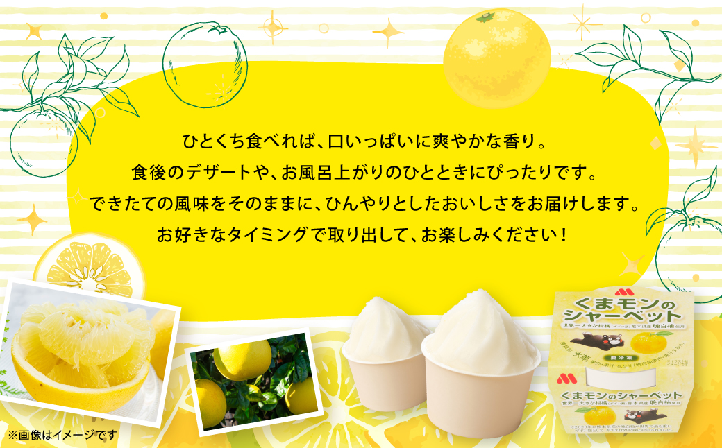 【先行予約】 くまモンのシャーベット 世界一大きな柑橘(ザボン類) 熊本県産 晩白柚 使用 アイス 氷菓子 果汁 果物 熊本 八代 国産 スイーツ くまモン 【2026年1月より順次発送】