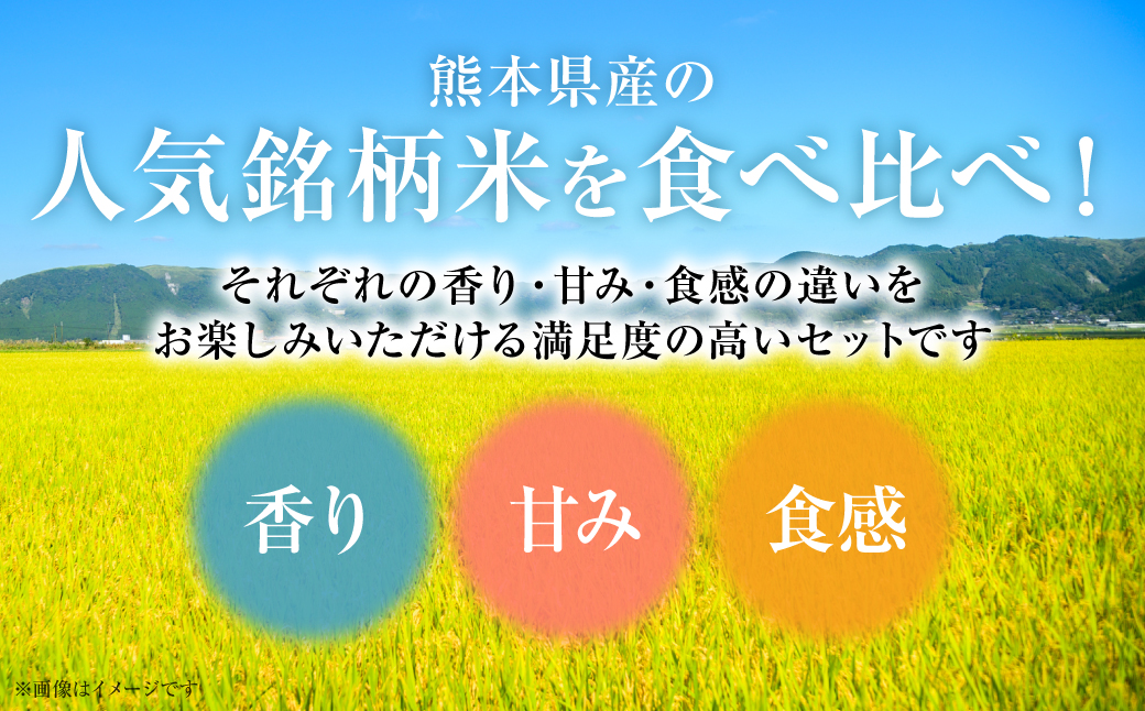 【令和7年産】 熊本県産 食べ比べセット (ひのひかり・森のくまさん・くまさんの輝き) 合計15kg (5kg×3袋) 米 お米 精米 白米 ごはん ご飯 熊本