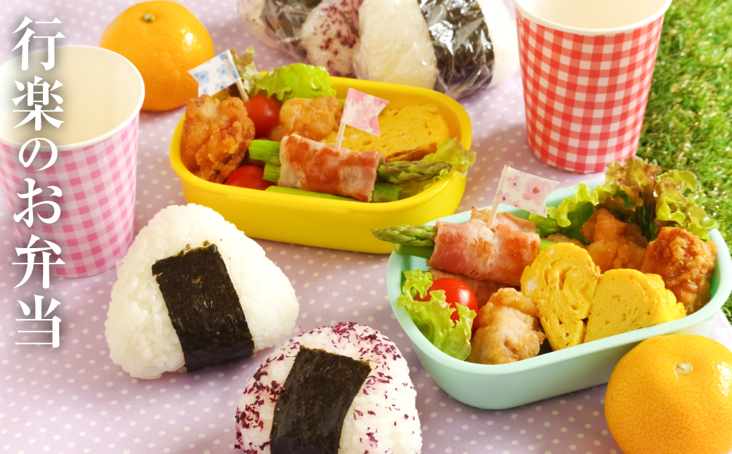 【令和7年産】 熊本県産 食べ比べセット (ひのひかり・森のくまさん・くまさんの輝き) 合計15kg (5kg×3袋) 米 お米 精米 白米 ごはん ご飯 熊本