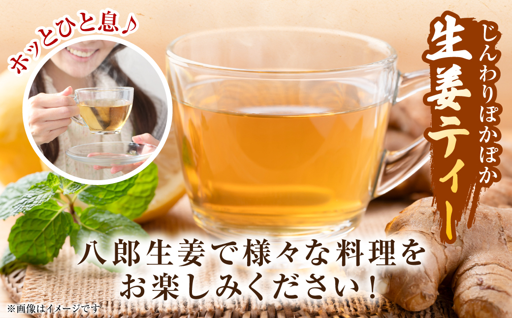 八郎生姜 1kg しょうが ショウガ ガリ ジンジャー 野菜 食品 薬味 生姜焼き しょうが焼き 温活 冷え性 対策 熊本県 八代市 東陽町 産地直送 国産