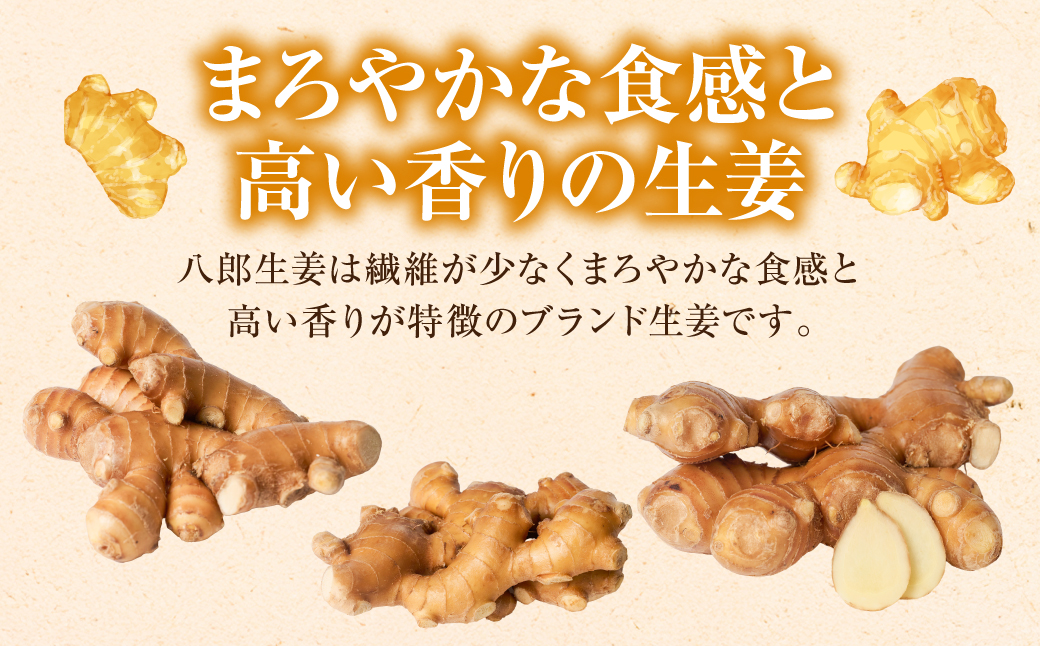 八郎生姜 1kg しょうが ショウガ ガリ ジンジャー 野菜 食品 薬味 生姜焼き しょうが焼き 温活 冷え性 対策 熊本県 八代市 東陽町 産地直送 国産