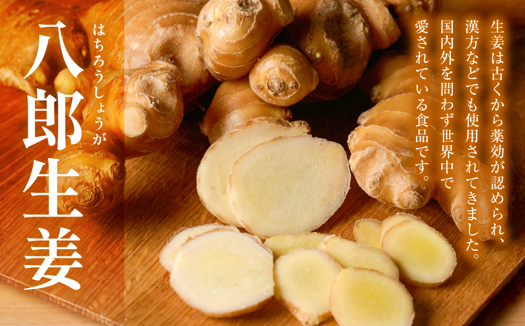 八郎生姜 1kg しょうが ショウガ ガリ ジンジャー 野菜 食品 薬味 生姜焼き しょうが焼き 温活 冷え性 対策 熊本県 八代市 東陽町 産地直送 国産