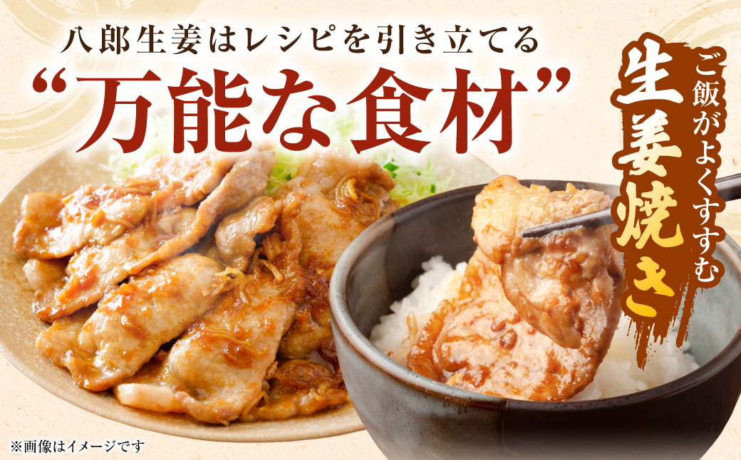 八郎生姜 1kg しょうが ショウガ ガリ ジンジャー 野菜 食品 薬味 生姜焼き しょうが焼き 温活 冷え性 対策 熊本県 八代市 東陽町 産地直送 国産