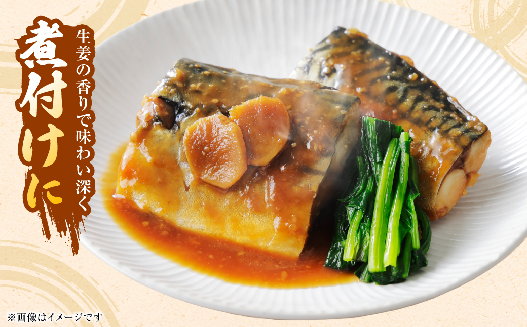 八郎生姜 1kg しょうが ショウガ ガリ ジンジャー 野菜 食品 薬味 生姜焼き しょうが焼き 温活 冷え性 対策 熊本県 八代市 東陽町 産地直送 国産