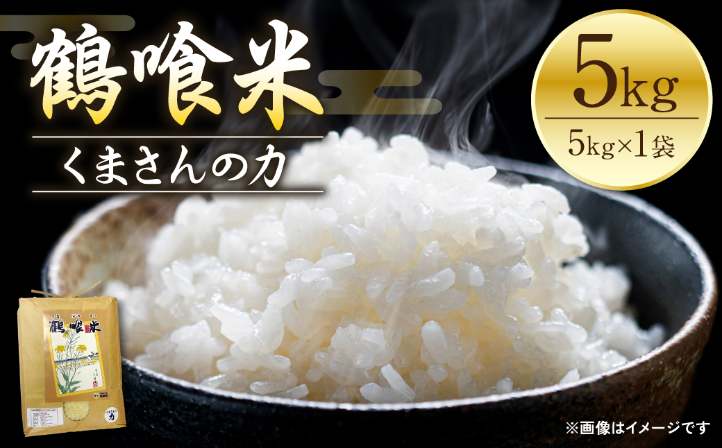 《令和7年産》 熊本県八代市産 鶴喰米 くまさんの力 精米 5kg 米 お米 精米 白米 ごはん ご飯 熊本