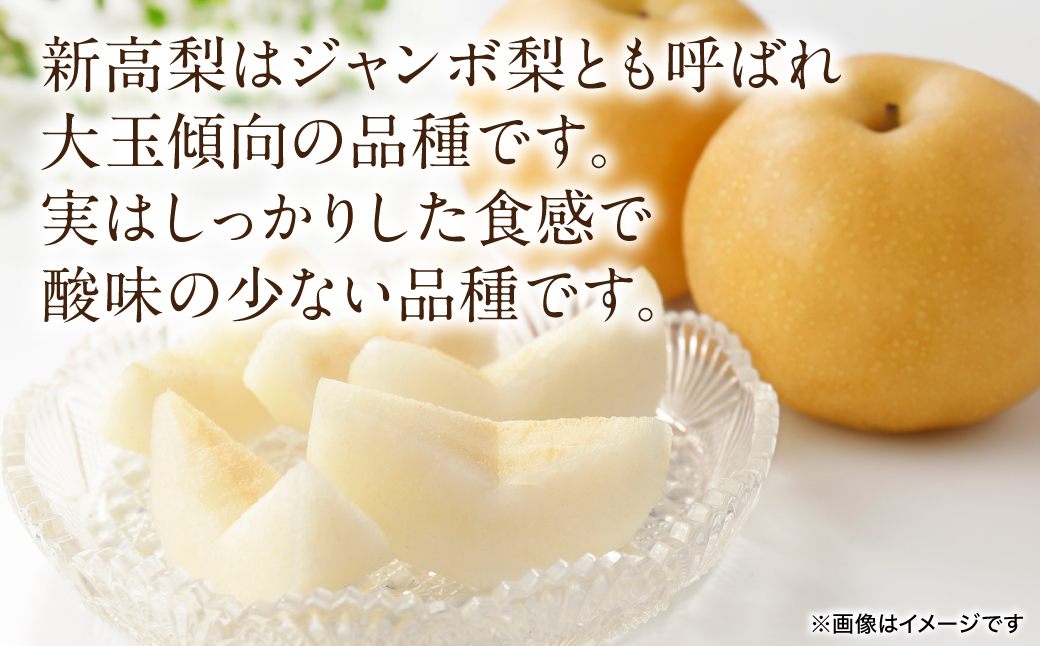 ãå
è¡äºçŽã æ°é«æ¢š çŽ5kg (5ïœ20ç) 梚 ãªã ãã· ãã«ãŒã ãã ãã® æç© æ¬ çæ¬ç å
«ä»£åž ã2026幎9æäžæ¬ããé æ¬¡çºéã