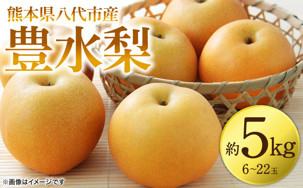 【先行予約】 豊水梨 約5kg (6～22玉) 梨 なし ナシ フルーツ くだもの 果物 旬 熊本県 八代市 【2026年8月中旬より順次発送】