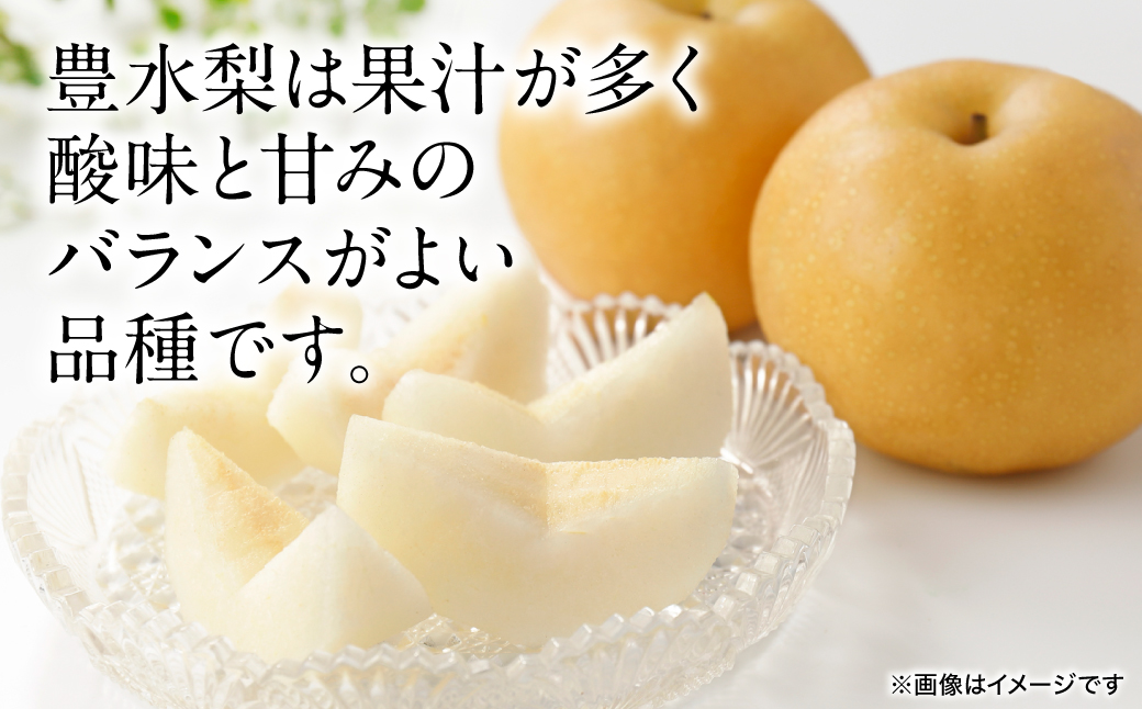 【先行予約】 豊水梨 約5kg (6～22玉) 梨 なし ナシ フルーツ くだもの 果物 旬 熊本県 八代市 【2026年8月中旬より順次発送】