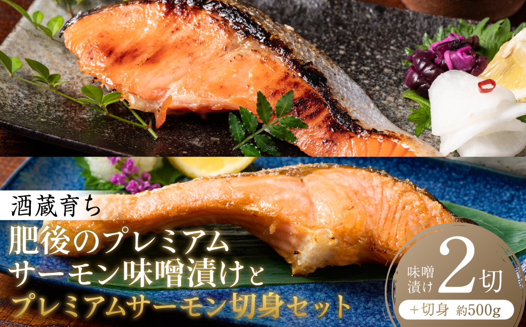 酒蔵育ち 肥後のプレミアムサーモン 味噌漬け 2切×1パック と プレミアムサーモン切身 約500g セット サーモントラウト 銀鮭 味噌漬け 赤酒 切身 切り身 和食 魚 おかず 熊本県 八代市