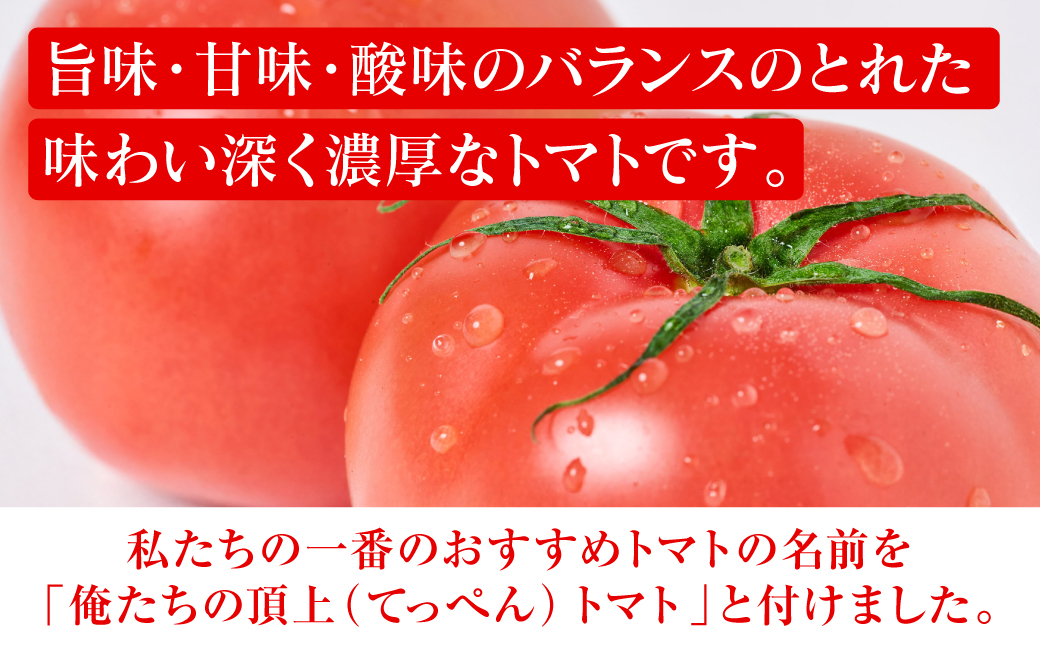 産地直送 俺たちの頂上トマト 3.5kg トマト とまと 野菜 やさい 旬 旬の野菜 新鮮な野菜 地元産野菜 熊本県 八代市