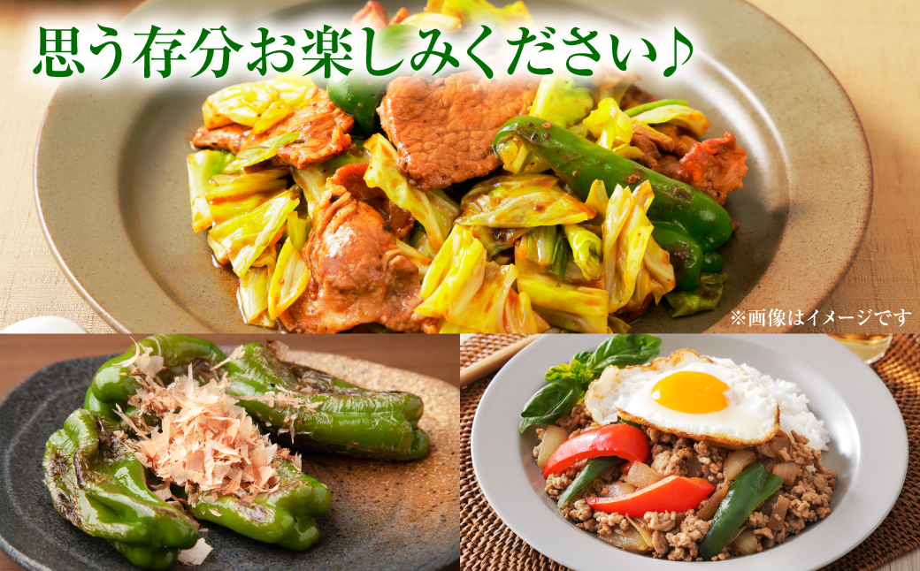 産地直送 とんがりジャンボピーマン 1.5kg 野菜 やさい 野菜炒め サラダ 夏野菜 新鮮 旬 無限ピーマン おつまみ BBQ バーベキュー 肉詰め 熊本県 八代市