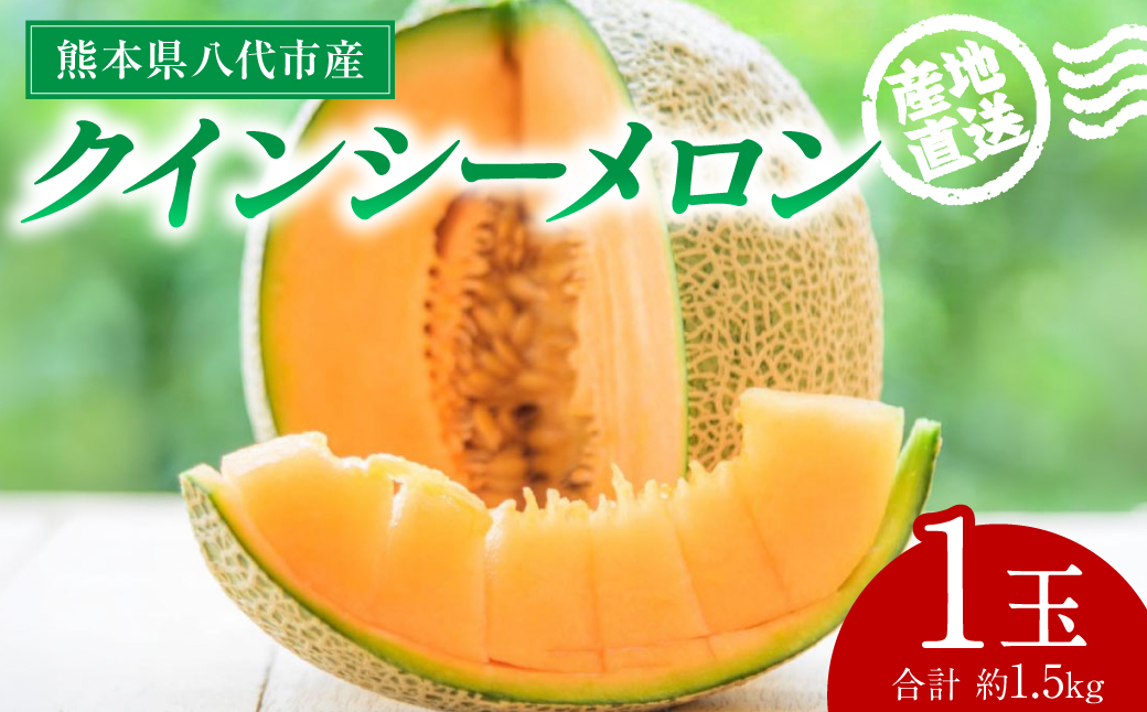 【先行予約】 産地直送 クインシーメロン 1玉 約1.5kg クインシー メロン めろん 赤肉メロン 赤肉 果物 くだもの フルーツ デザート 贈り物 国産 熊本県 八代市 【2026年5月下旬より順次発送】