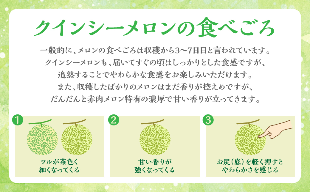 ãå
è¡äºçŽãç£å°çŽé ã¯ã€ã³ã·ãŒã¡ãã³ 3ïœ4ç çŽ5kg ã¯ã€ã³ã·ãŒ ã¡ãã³ ããã èµ€èã¡ãã³ èµ€è æç© ãã ãã® ãã«ãŒã ãã¶ãŒã èŽãç© åœç£ çæ¬ç å
«ä»£åžã2026幎5æäžæ¬ããé æ¬¡çºéã