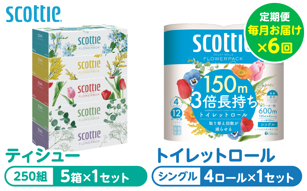 【定期便6回】【毎月お届け】【スコッティ】 組み合わせ ティシュー フラワーボックス 250組 5箱 計30箱 トイレットロール シングル フラワーパック 3倍長持ち 4ロール 計24ロール ティッシュ トイレットペーパー 日用品 防災備蓄 ストック 備蓄 新生活 防災 消耗品 生活用品 日用消耗品 箱ティッシュ 熊本県 八代市