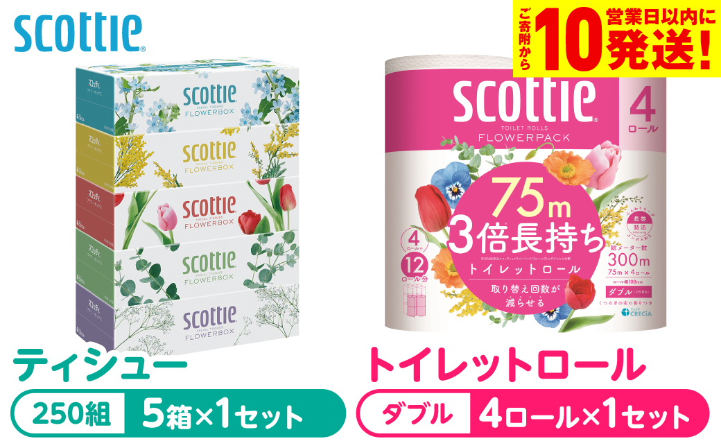 【スコッティ】 組み合わせ ティシュー フラワーボックス 250組 5箱 トイレットロール ダブル フラワーパック 3倍長持ち 4ロール ティッシュ トイレットペーパー 日用品 防災備蓄 ストック 備蓄 新生活 防災 消耗品 生活用品 日用消耗品 箱ティッシュ 熊本県 八代市