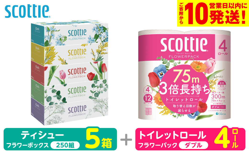 【スコッティ】 組み合わせ ティシュー フラワーボックス 250組 5箱 トイレットロール ダブル フラワーパック 3倍長持ち 4ロール ティッシュ トイレットペーパー 日用品 防災備蓄 ストック 備蓄 新生活 防災 消耗品 生活用品 日用消耗品 箱ティッシュ 熊本県 八代市