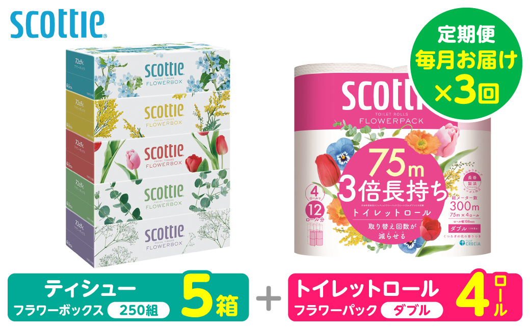 [定期便3回][毎月お届け][スコッティ] 組み合わせ ティシュー フラワーボックス 250組 5箱 計15箱 トイレットロール ダブル フラワーパック 3倍長持ち 4ロール 計12ロール ティッシュ トイレットペーパー 日用品 防災備蓄 ストック 備蓄 新生活 防災 消耗品 生活用品 日用消耗品 箱ティッシュ 熊本県 八代市