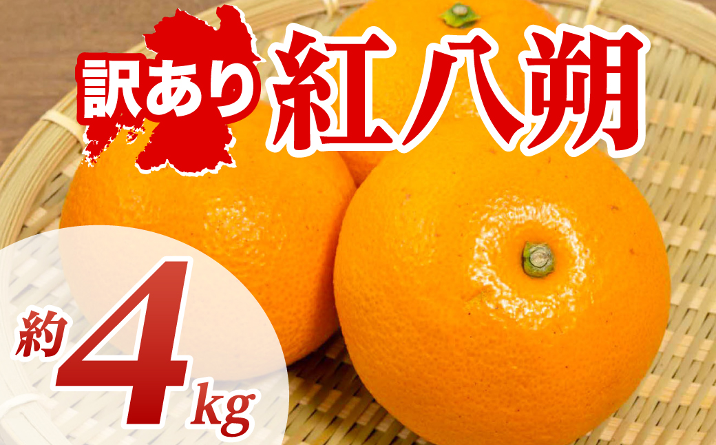 【先行予約】 【訳あり】 紅八朔 約4kg 八朔 はっさく ハッサク 柑橘 果物 くだもの フルーツ 熊本県 八代市 【2027年1月下旬より順次発送】
