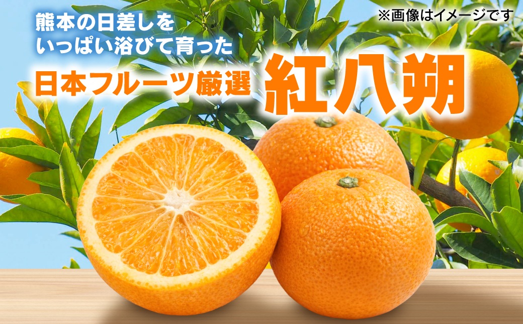 【先行予約】 【訳あり】 紅八朔 約4kg 八朔 はっさく ハッサク 柑橘 果物 くだもの フルーツ 熊本県 八代市 【2027年1月下旬より順次発送】