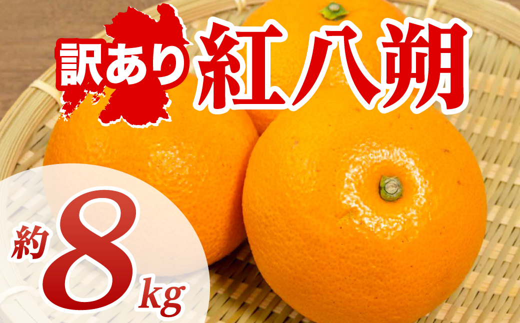 【先行予約】 【訳あり】 紅八朔 約8kg 八朔 はっさく ハッサク 柑橘 果物 くだもの フルーツ 熊本県 八代市 【2027年1月下旬より順次発送】