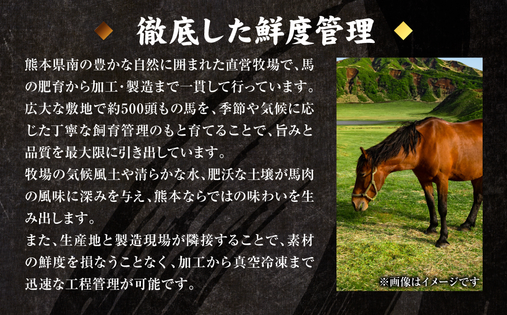 国産 熊本肥育 ユッケ 合計600g （50g×12パック） 馬肉 赤身 馬刺しユッケ ゆっけ 新鮮 ヘルシー おつまみ 晩酌 丼 サラダ 冷凍 熊本県 八代市