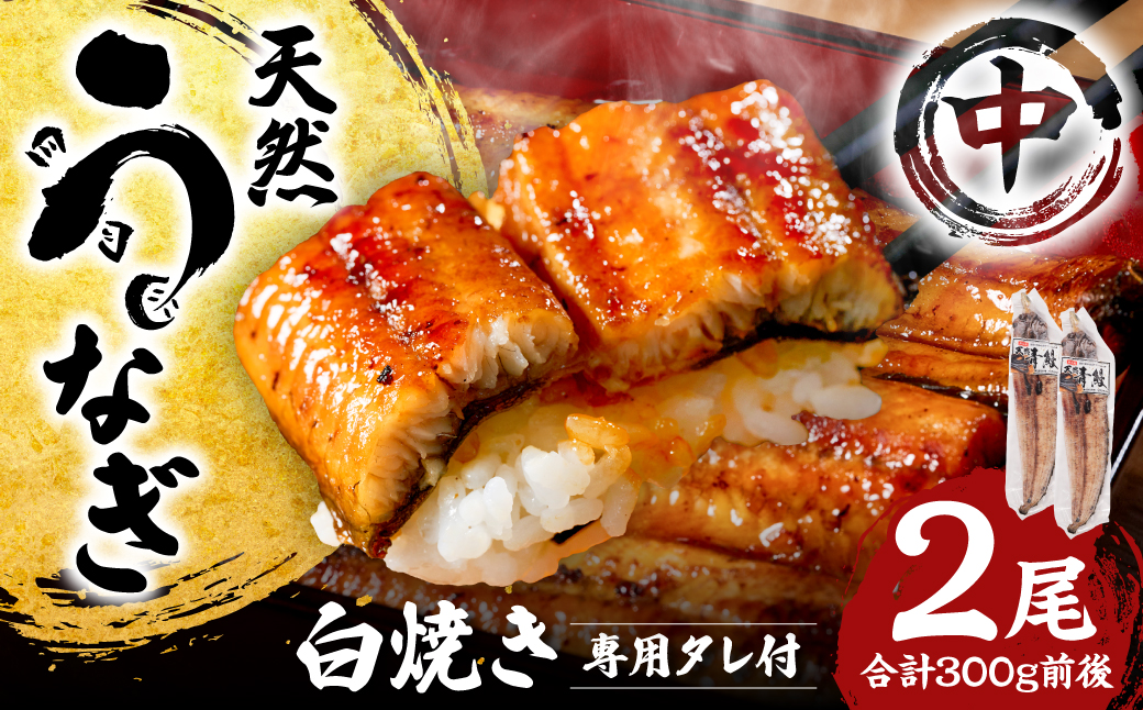 熊本県八代市産 天然うなぎ 白焼 (中) 2尾 合計300g前後 蒲焼のたれ付き 鰻 国産 蒲焼 ウナギ うなぎ 丑の日 冬が旬 冷凍 熊本県 八代市