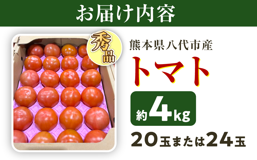 【先行予約】 熊本県八代市産 トマト 約4kg (20玉または24玉) とまと 野菜 やさい サラダ 旬 旬の野菜 新鮮 新鮮な野菜 熊本県 八代市 【2027年1月上旬より順次発送】
