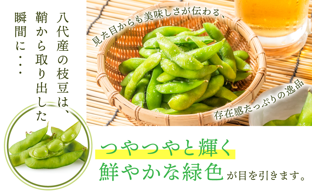 【先行予約】 熊本県八代市産 枝豆 1.5kg えだまめ エダマメ 茶豆 産地直送 おつまみ 野菜 お弁当 豆 まめ 旬 熊本県 八代市 【2026年7月上旬より順次発送】