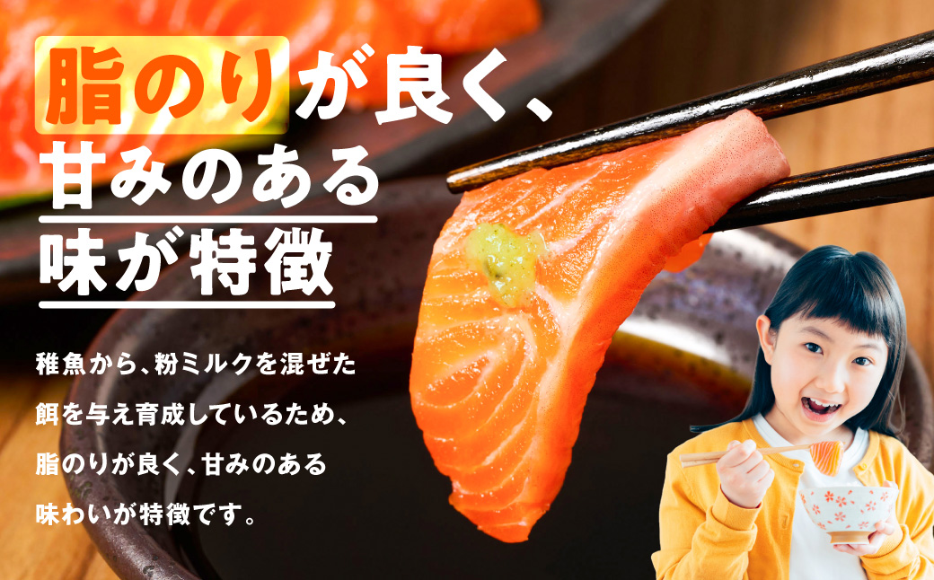 八代 教室育ちサーモン フィレ800g以上 サーモン 刺身 鮭 生食 魚 冷凍 海鮮 さけ サケ シャケ 熊本県 八代市