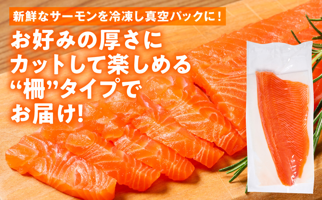 八代 教室育ちサーモン フィレ800g以上 サーモン 刺身 鮭 生食 魚 冷凍 海鮮 さけ サケ シャケ 熊本県 八代市