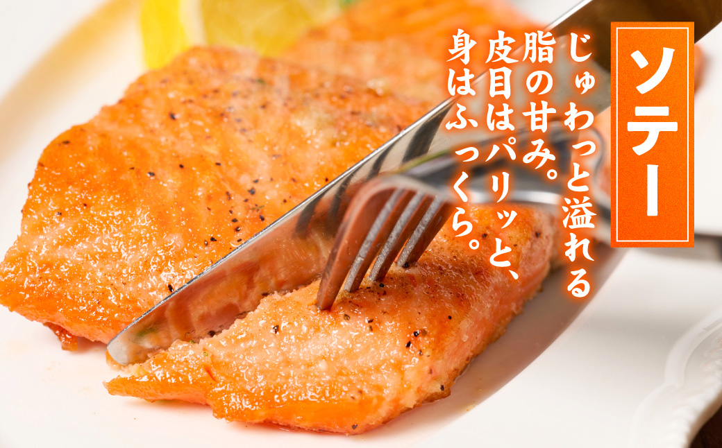 八代 教室育ちサーモン フィレ800g以上 サーモン 刺身 鮭 生食 魚 冷凍 海鮮 さけ サケ シャケ 熊本県 八代市