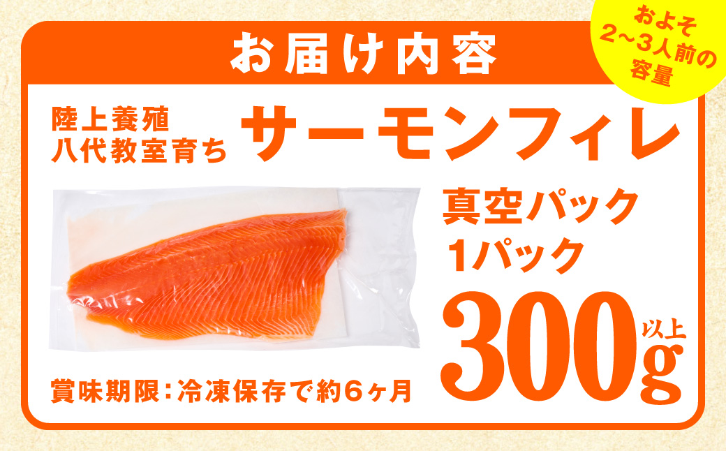 八代 教室育ちサーモン フィレ300g以上 サーモン 刺身 鮭 生食 魚 冷凍 海鮮 さけ サケ シャケ 熊本県 八代市